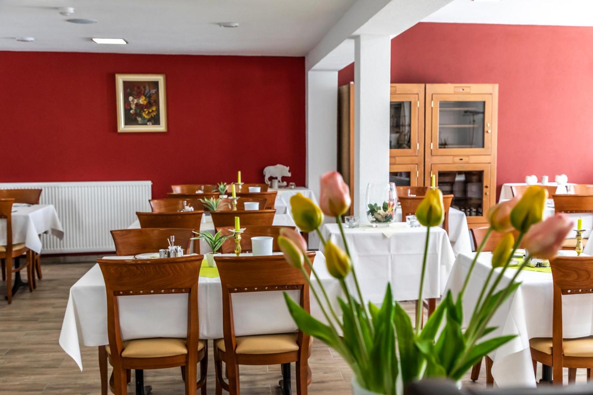 Hotel Jaegerhaus In Singen Am Hohentwiel Εξωτερικό φωτογραφία