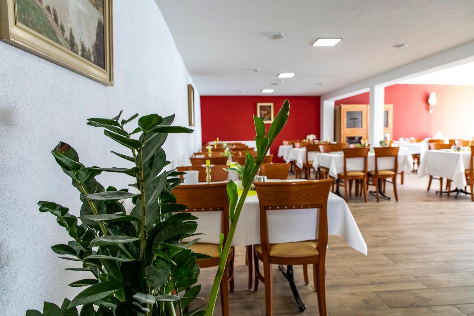 Hotel Jaegerhaus In Singen Am Hohentwiel Εξωτερικό φωτογραφία